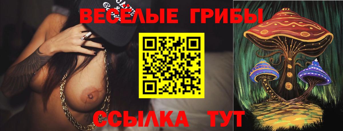 Галлюциногенные грибы ЛСД  Галлюциногенные грибы Psilocybine cubensis  Вход с VPN  Алейск 